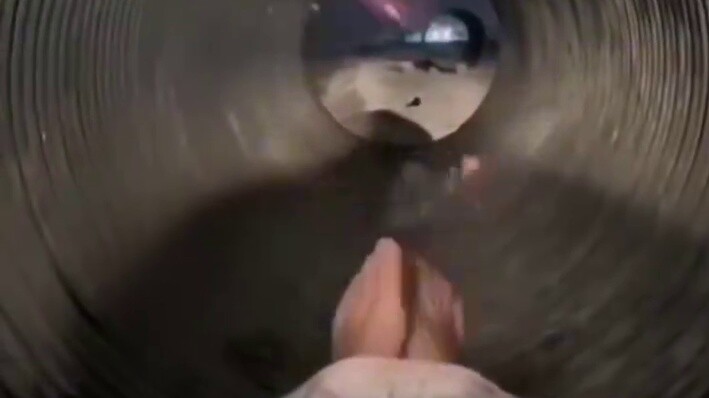 It's very lively outside today