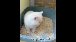 น้องวนหลายวนมาก 555++