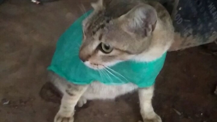 utun sok cantik ngambek 😁