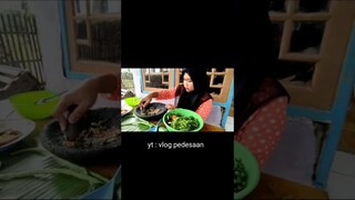 Pedas Nikmat‼️ Karedok Leunca, Masakan Kampung