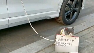 Ibuku pergi ke kamar mandi dan dia buang air besar dengan sangat cepat.