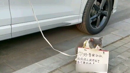 Mẹ tôi đi vào phòng tắm và ị rất nhanh.