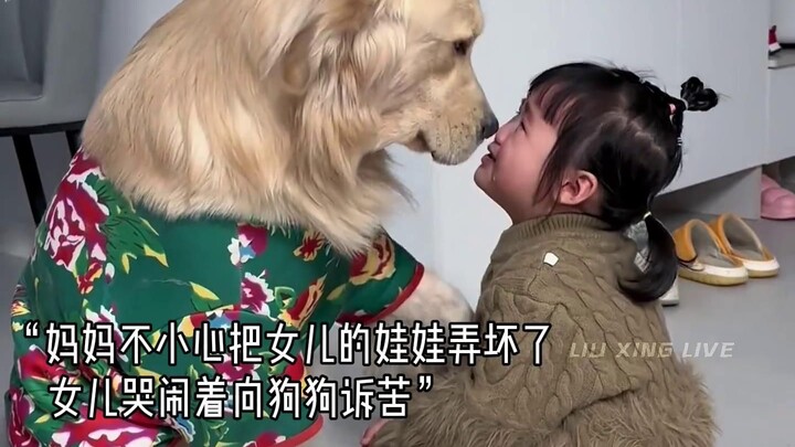 毛孩子远比你想象中更加的温暖和治愈”是宠物更是家人！