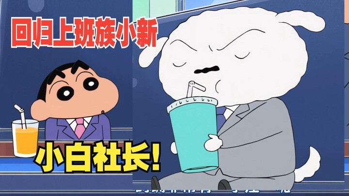 Salaryman Shinobu and the adorable President! New episodes of Crayon Shin-chan