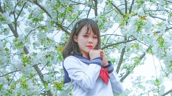 【Pekerjaan ulang tahun】【Xiao Si】♥Sentuh langit♥Janji di bawah pohon sakura☆