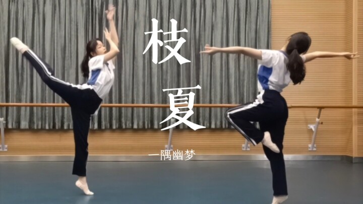 人无法同时拥有青春和对青春的感受，所以我出了这个舞（高三文化生原创编舞《枝夏》）