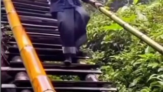 respect 100%
