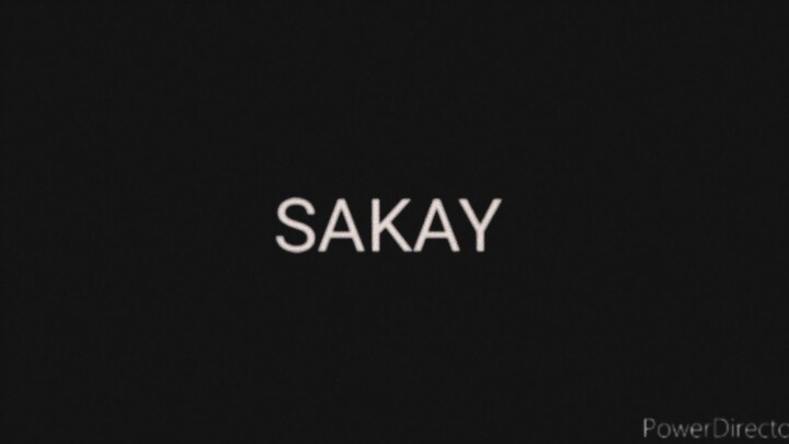 Sakay 1993