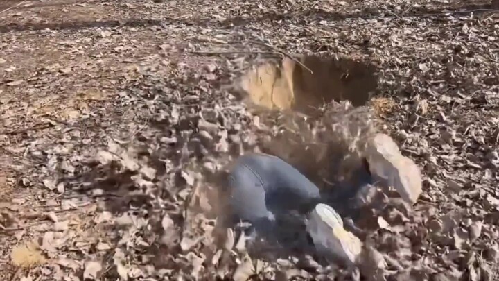 Ký ức tuổi thơ