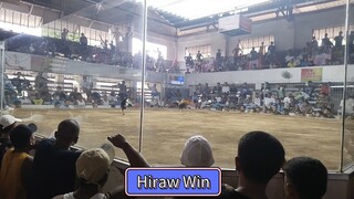 WWLWLWW June1 1st fight Win