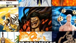 Top 8 Người Vô Tình _Ăn_ Trái Ác Quỷ trong One Piece #18- 1