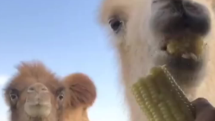 Let me take a look!