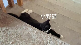 Squatting by the door won't help; I'm not going to soften up, you know.