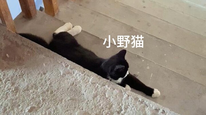 Squatting by the door won't help; I'm not going to soften up, you know.