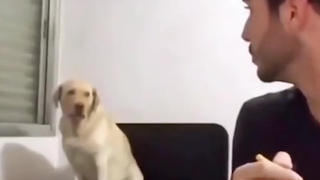 لماذا تتدخل فيما لا يعنيك؟