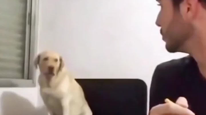 Mind your own business!