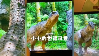 恐龙爪子完美诠释了什么叫“小小的也很可爱”