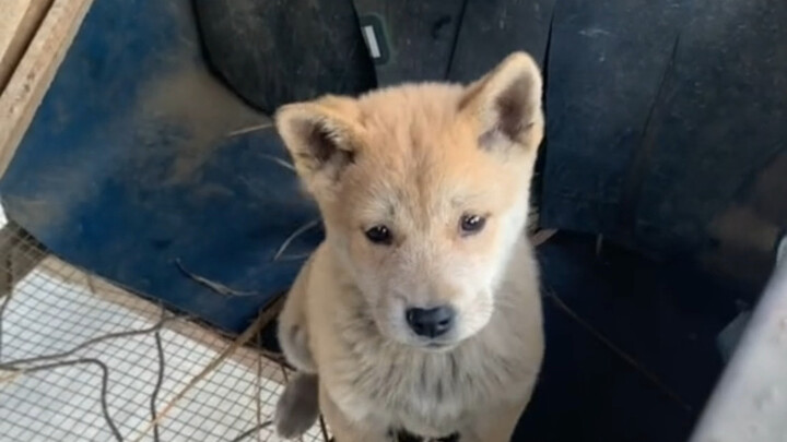 Time always says goodbye. Although parting is sad, we still have to move on, right?