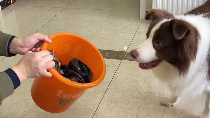 ลูกหมา: เอาจริงๆ ฉันก็ทำแบบนี้บ่อยนั่นแหละ...