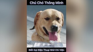 xuhuongtiktok phimhay chó_cưng phim bietdoinuchienlang phimtet2022 phimhaymoingay