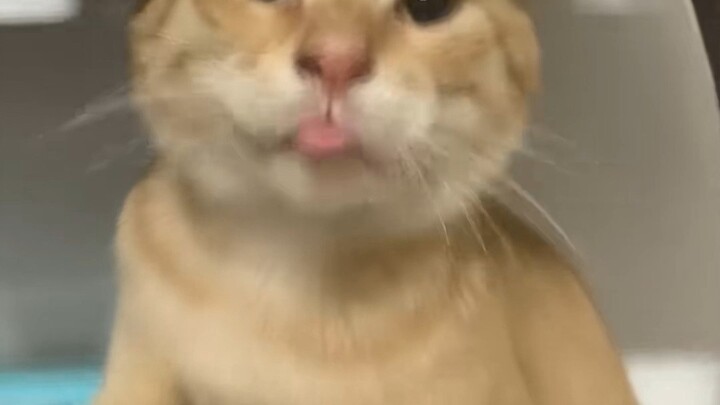 (ใช้เอง) เวอร์ชันฟินเต็มอิ่มกับการจูบปากแบบสุดฟิน!