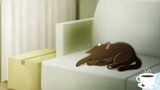 Anime Musik Opening | Koori Zokusei Danshi to Cool na Douryou Joshi