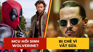 Phê Phim News: HUGH JACKMAN tham gia DEADPOOL 3 | Phim về phiên tòa DEPP vs. HEARD tung TRAILER