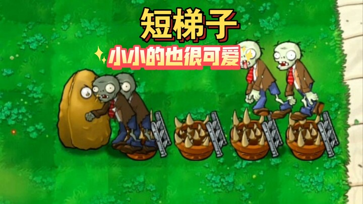 短梯僵尸，地刺花盆的专业辅助