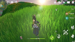 genshin impact