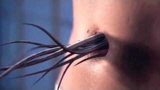 Kí Sinh Trùng Biến Đổi Con Người Thành Quái Vật - Tóm Tắt Phim : Kí Sinh Trùng | Scourge