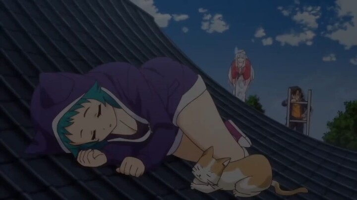 lagi enak tidur di atas rumah orang 😫😅😂