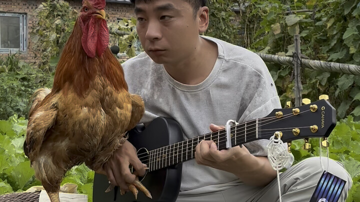 【Jianfeng Jiajia】Video is loading—hurry and check out the surprise!