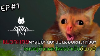 STRAY EP 1 : แมวกะเทยตะลุยบ้านยางมันชอบหลงทางอะโคตรน่าเบื่ออีแมวเปรต