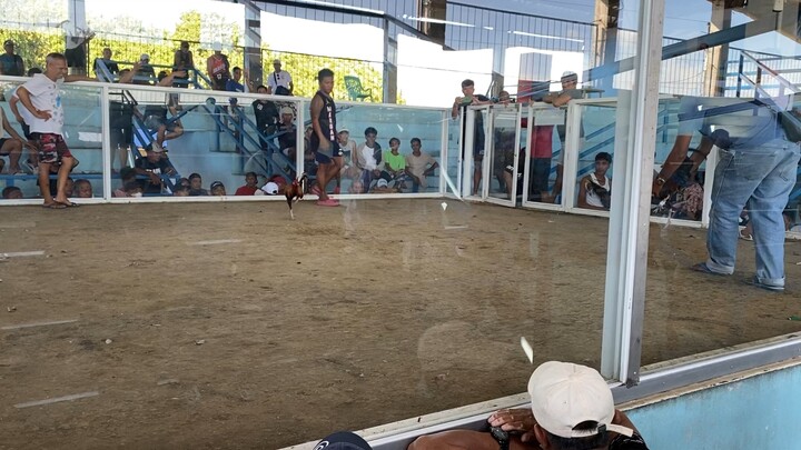 Thursday hack fight 2nd fight Win c Payat