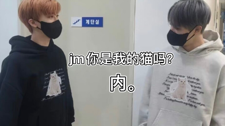 【เสี่ยวตู้】ในที่สุดเอ็นเจเอ็มก็ค้นพบว่าตัวเองเป็นแมวของแอลดีเอ็น!