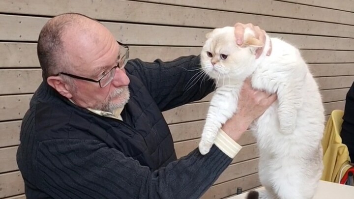 Little Fat Cat compe*on scene: face full of grievances, soles of feet slipping