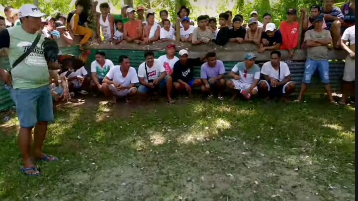 fiesta burdios 2win 1 loss