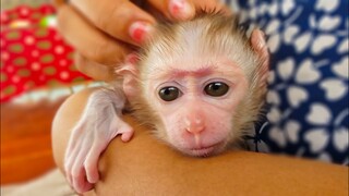 So Comfort!! Tiny adorable Luca so refreshing when Mom gently massage for him