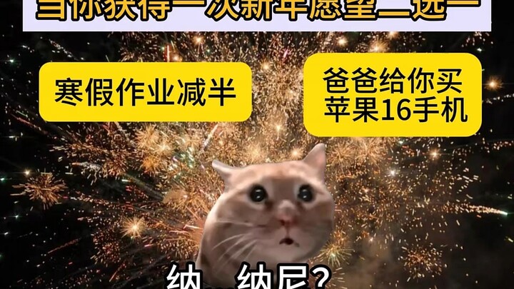 当你获得一次新年愿望二选一