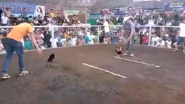 wins tayo hihihi
