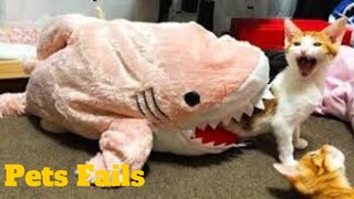 💥Funniest Pets Fails😂🙃💥 of 2020 | Funny Animal Videos💥👌