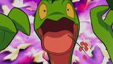 [Pokémon] Kadal Hutan mengalahkan Naga Tropis untuk mengekspresikan dirinya di depan Geranium, tapi 