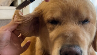 قلت لك لا تتدخل في أمور الآخرين كثيرًا.