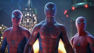 【高燃混剪】🕸️三虫同框🕸️能力越大 责任越大🕷️