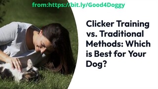 Clicker Training vs. Traditional Methods - Discover the Best Training for Your D