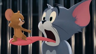 ร่างการ์ดความรู้เรื่องการเชื่อมโยงภาพยนตร์ของ Tom and Jerry