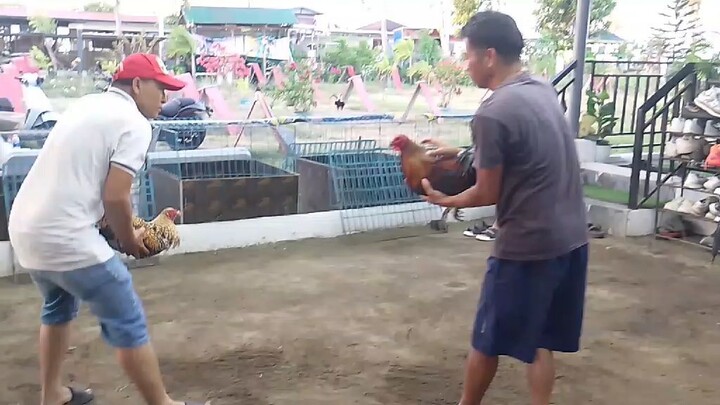 Mel Simms Black vs Bulik ni Erik