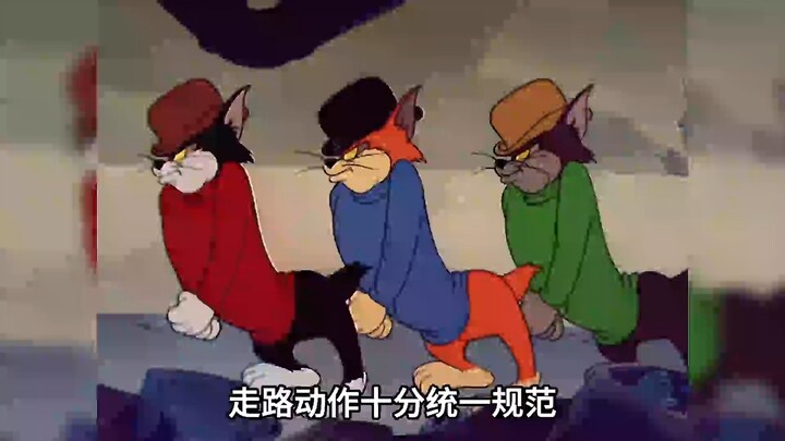 How many cats are there in “Tom and Jerry”?