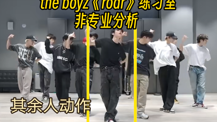 ［无人声训练室分析］真的齐吗？the boyz《roar》练习室