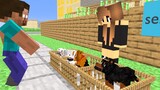 MONSTER SCHOOL _ HEROBRINE AND BABY DOG - MINECRAFT ANIMATION